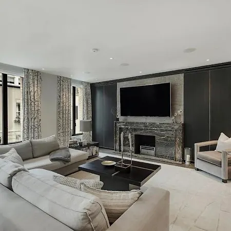 Modern Spacious Place